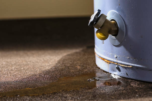 Water damage restoration insurance claims in Ethete, WY