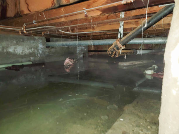 Best Water damage restoration insurance claims  in Ethete, WY