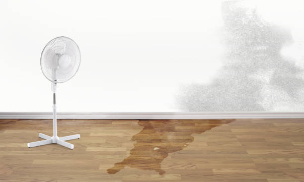 Best Flood damage cleanup  in Ethete, WY