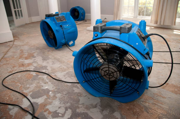 Best Water damage restoration near me  in Ethete, WY