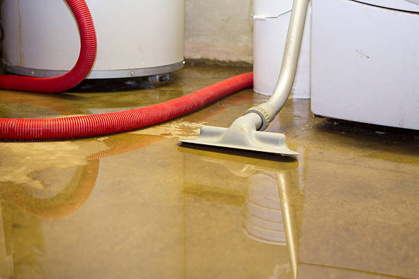 Best Carpet water damage restoration  in Ethete, WY