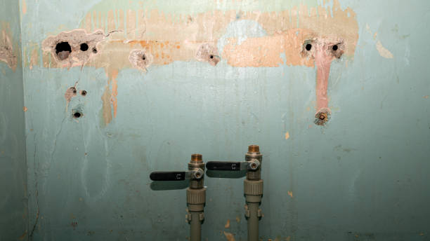Best 24/7 water damage repair  in Ethete, WY