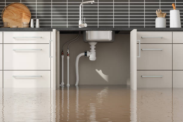 Professional Water damage restoration in Ethete, WY