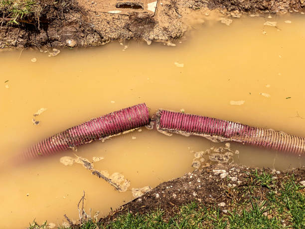 Best Water damage mitigation services  in Ethete, WY